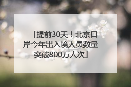 提前30天！北京口岸今年出入境人员数量突破800万人次