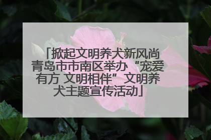 掀起文明养犬新风尚 青岛市市南区举办“宠爱有方 文明相伴”文明养犬主题宣传活动