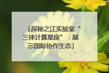 探秘之江实验室“三体计算星座”：展示国际协作生态