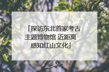 探访东北首家考古主题博物馆 近距离感知红山文化