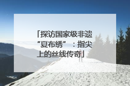 探访国家级非遗“夏布绣”：指尖上的丝线传奇