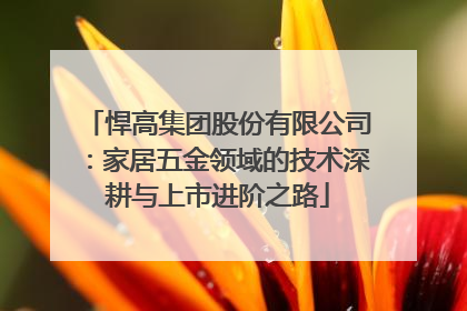 悍高集团股份有限公司：家居五金领域的技术深耕与上市进阶之路