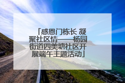 感恩门栋长 凝聚社区情——杨园街道四美塘社区开展端午主题活动