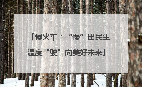 慢火车：“慢”出民生温度“驶”向美好未来