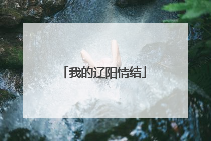 我的辽阳情结
