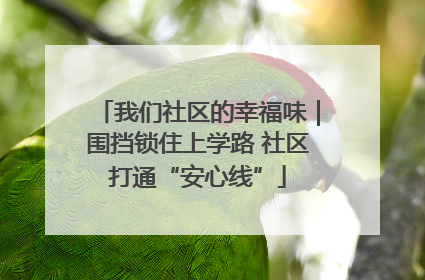 我们社区的幸福味｜围挡锁住上学路 社区打通“安心线”