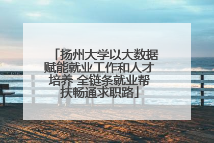 扬州大学以大数据赋能就业工作和人才培养 全链条就业帮扶畅通求职路