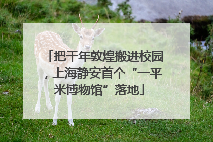 把千年敦煌搬进校园，上海静安首个“一平米博物馆”落地