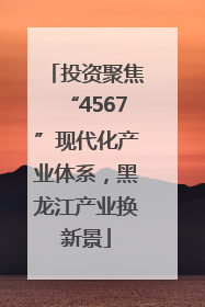 投资聚焦“4567”现代化产业体系，黑龙江产业换新景