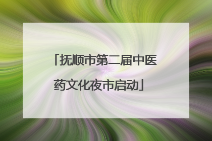 抚顺市第二届中医药文化夜市启动