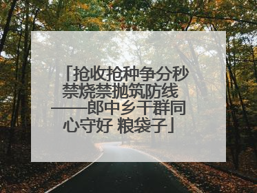 抢收抢种争分秒 禁烧禁抛筑防线——郎中乡干群同心守好 粮袋子