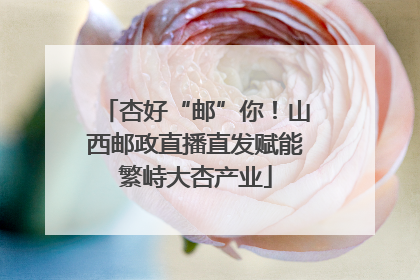 杏好“邮”你！山西邮政直播直发赋能繁峙大杏产业