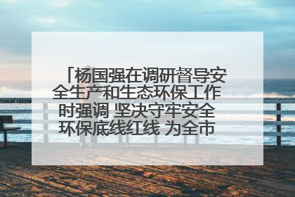 杨国强在调研督导安全生产和生态环保工作时强调 坚决守牢安全环保底线红线 为全市经济社会高质量发展提供坚强保障
