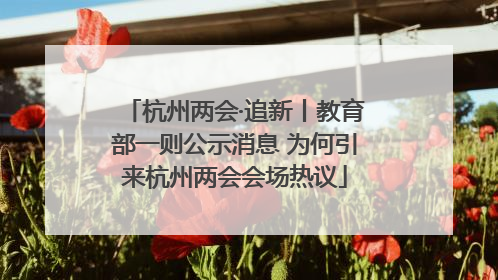 杭州两会·追新丨教育部一则公示消息 为何引来杭州两会会场热议
