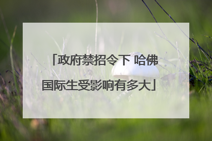 政府禁招令下 哈佛国际生受影响有多大
