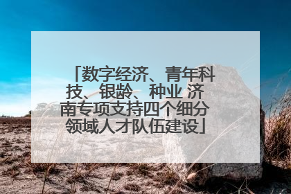 数字经济、青年科技、银龄、种业 济南专项支持四个细分领域人才队伍建设