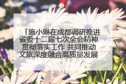 施小琳在成都调研推进省委十二届七次全会精神贯彻落实工作 共同推动文旅深度融合高质量发展 加快打造支柱产业民生产业幸福产业