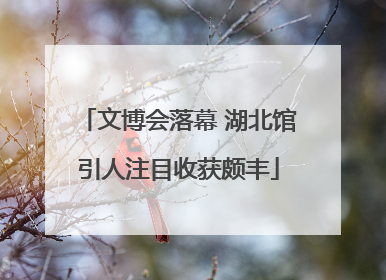 文博会落幕 湖北馆引人注目收获颇丰