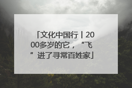 文化中国行丨2000多岁的它，“飞”进了寻常百姓家