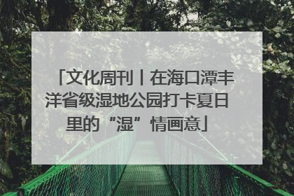 文化周刊丨在海口潭丰洋省级湿地公园打卡夏日里的“湿”情画意
