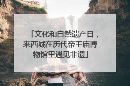 文化和自然遗产日，来西城在历代帝王庙博物馆里遇见非遗