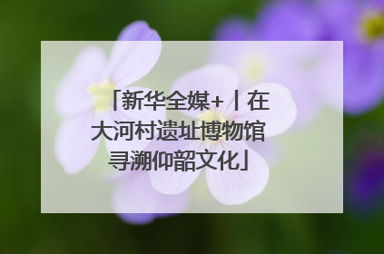 新华全媒+丨在大河村遗址博物馆寻溯仰韶文化