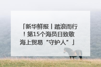 新华鲜报丨踏浪而行！第15个海员日致敬海上贸易“守护人”