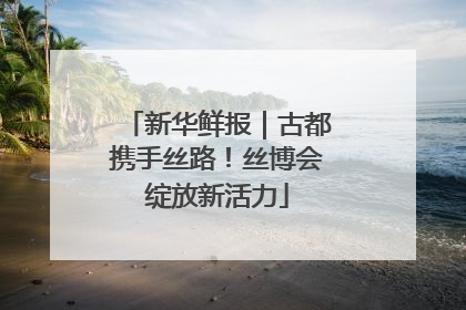 新华鲜报｜古都携手丝路！丝博会绽放新活力