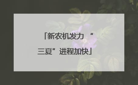 新农机发力 “三夏”进程加快