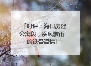 时评：海口房建公寓段，疾风骤雨的铁骨温情