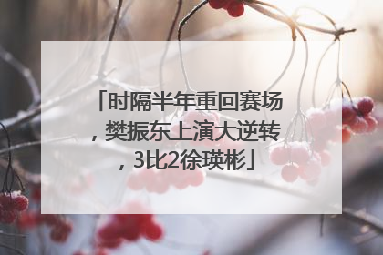 时隔半年重回赛场，樊振东上演大逆转，3比2徐瑛彬