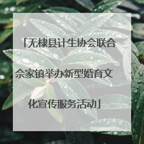 无棣县计生协会联合佘家镇举办新型婚育文化宣传服务活动