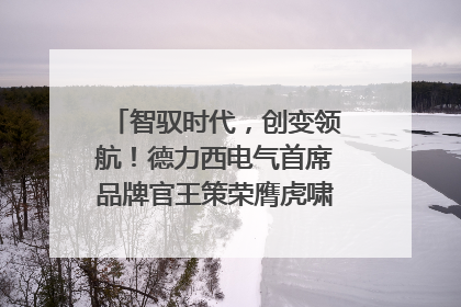 智驭时代，创变领航！德力西电气首席品牌官王策荣膺虎啸奖年度品牌人物