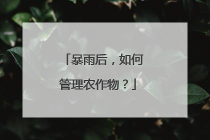 暴雨后，如何管理农作物？