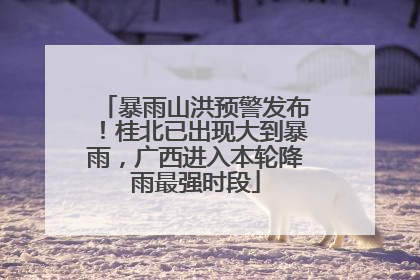 暴雨山洪预警发布！桂北已出现大到暴雨，广西进入本轮降雨最强时段