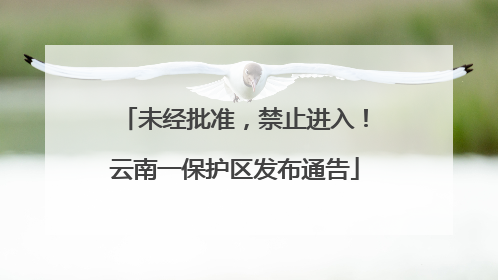 未经批准，禁止进入！云南一保护区发布通告