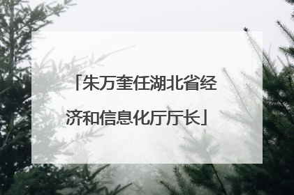 朱万奎任湖北省经济和信息化厅厅长