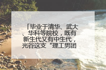 毕业于清华、武大、华科等院校，既有新生代又有中生代，光谷这支“理工男团”为何“出道”？