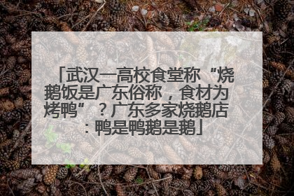 武汉一高校食堂称“烧鹅饭是广东俗称，食材为烤鸭”？广东多家烧鹅店：鸭是鸭鹅是鹅