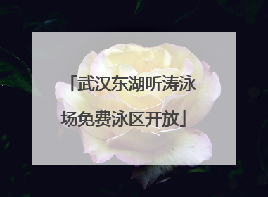 武汉东湖听涛泳场免费泳区开放