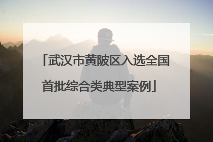 武汉市黄陂区入选全国首批综合类典型案例