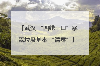 武汉 “四线一口”暴露垃圾基本 “清零”