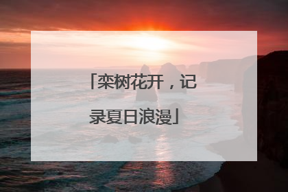 栾树花开，记录夏日浪漫