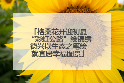 格桑花开迎初夏 “彩虹公路”绘锦绣 德兴以生态之笔绘就宜居幸福图景