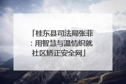 桂东县司法局张菲：用智慧与温情织就社区矫正安全网