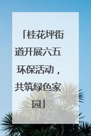 桂花坪街道开展六五环保活动，共筑绿色家园