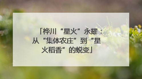 桦川“星火”永耀：从“集体农庄”到“星火稻香”的蜕变