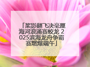 桨影翻飞决毫厘 海河浪涌赛蛟龙 2025滨海龙舟争霸赛燃爆端午