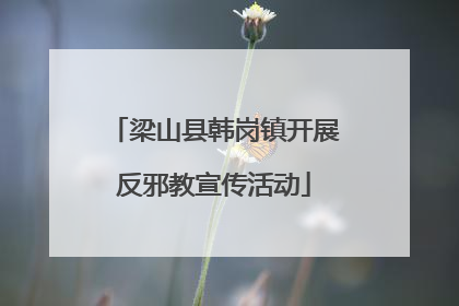 梁山县韩岗镇开展反邪教宣传活动