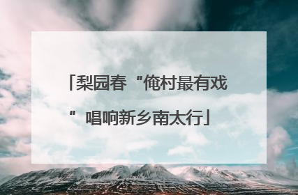 梨园春“俺村最有戏”唱响新乡南太行